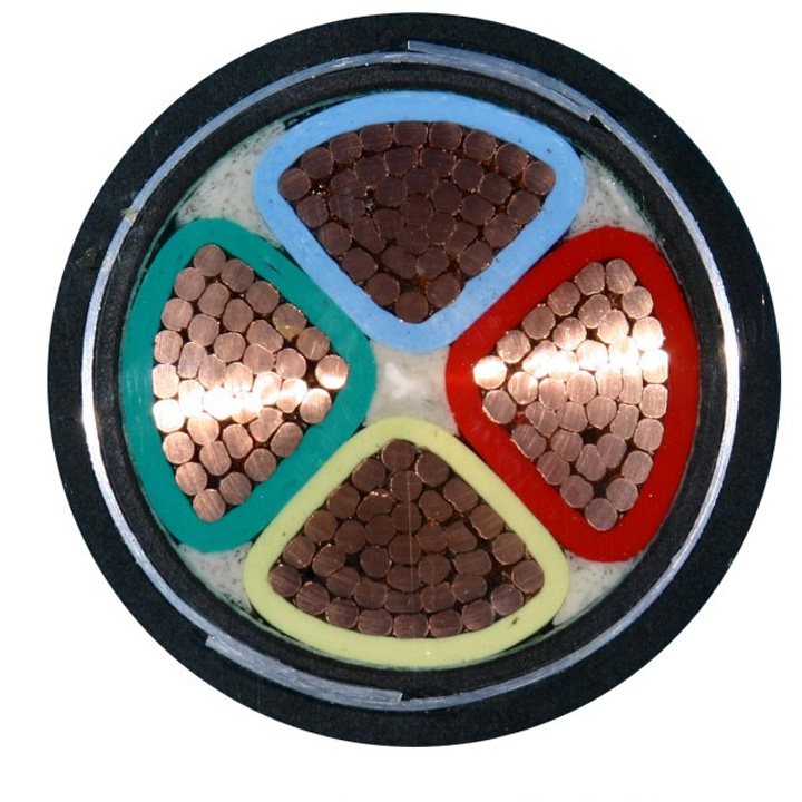 鎧裝電纜示意圖