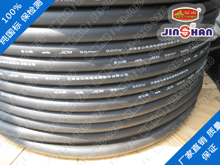 F級菠萝APP下载官网JEM-連續運行導體最...